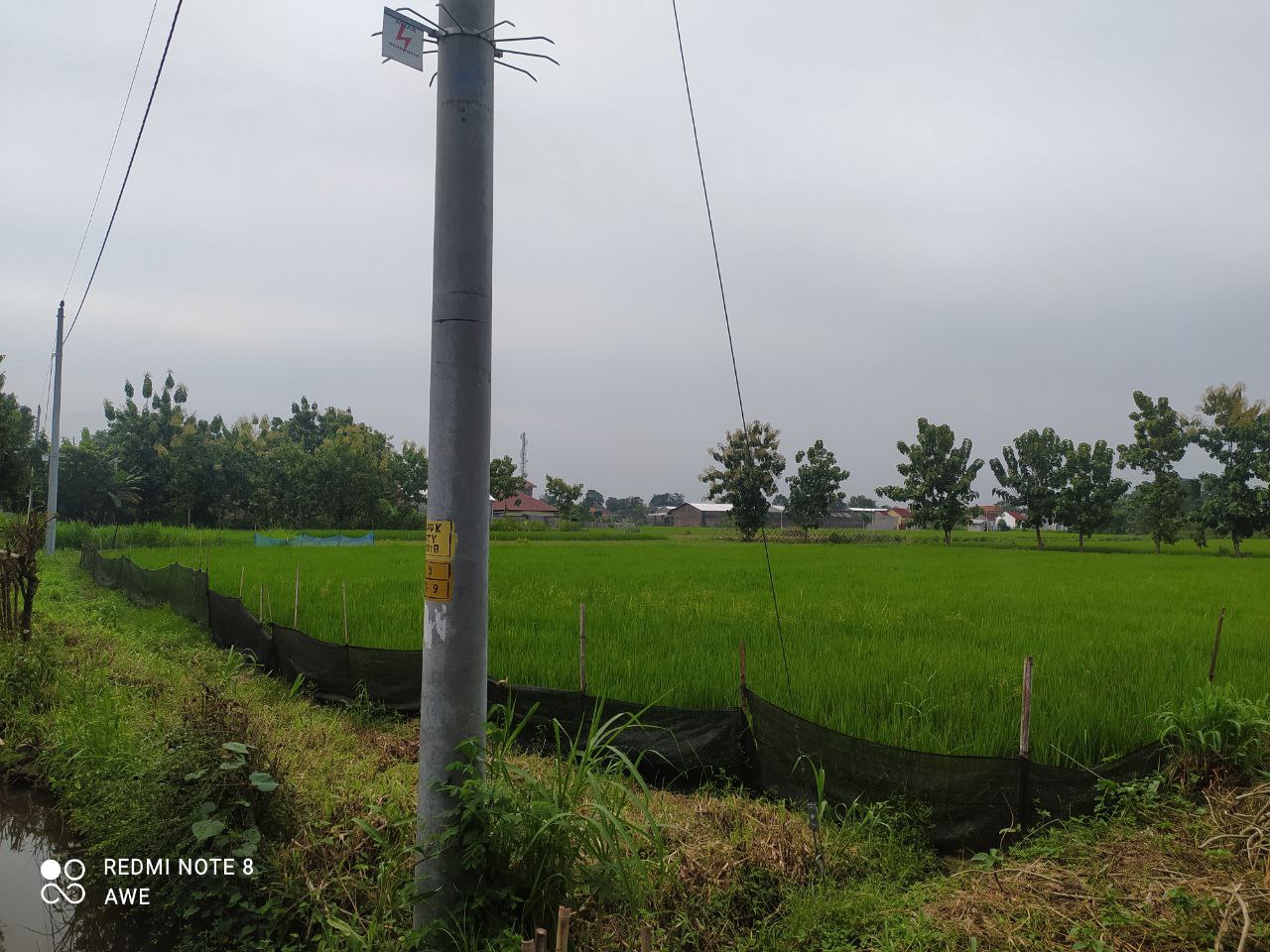 TANAH PERTANIAN - thumbnail 4