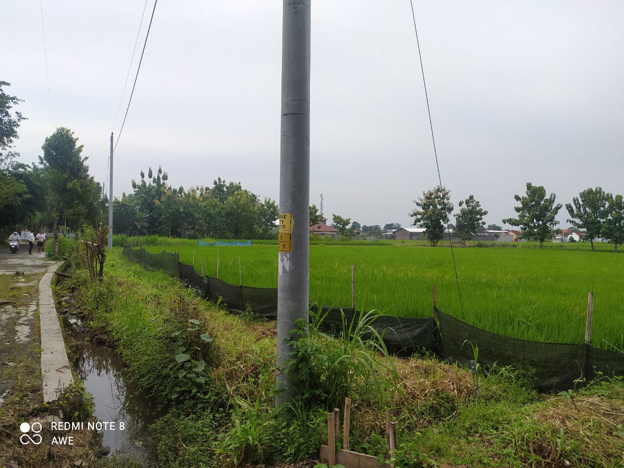 TANAH PERTANIAN - thumbnail 3