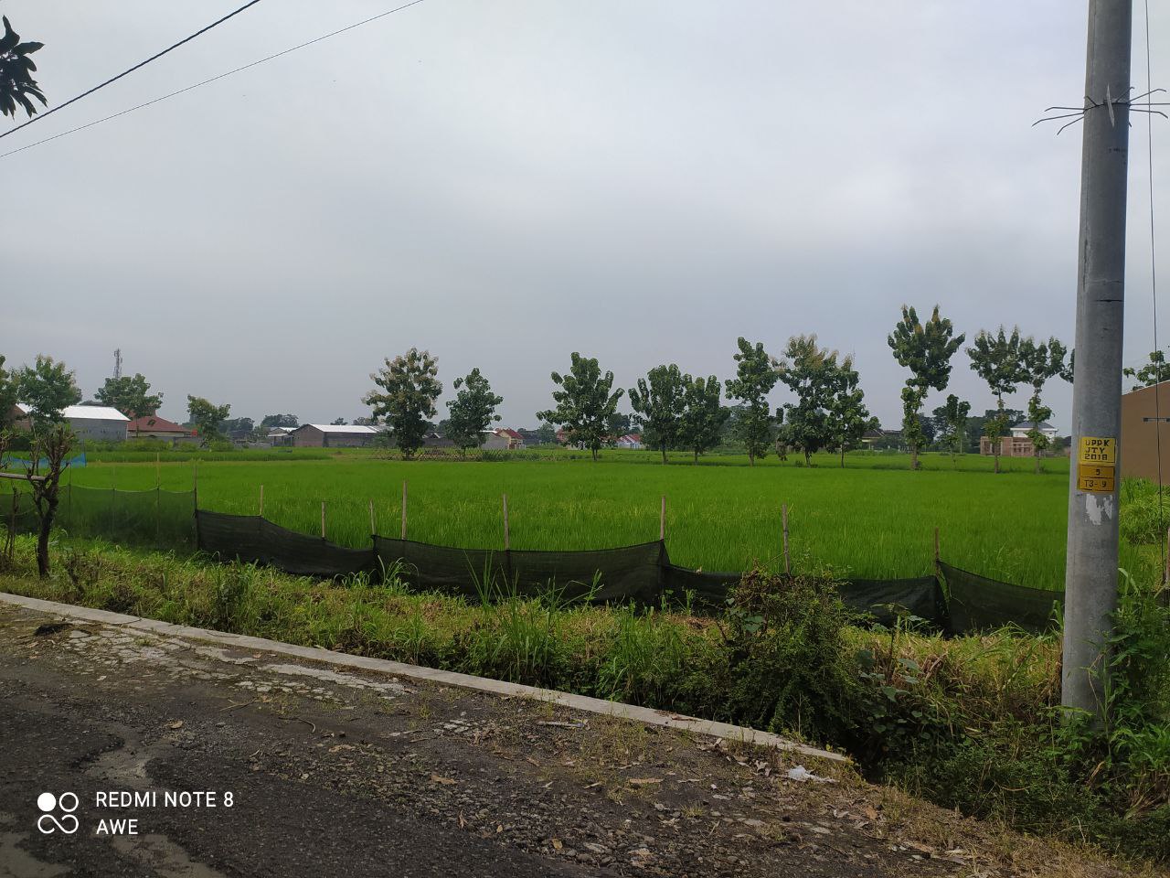 TANAH PERTANIAN - thumbnail 6