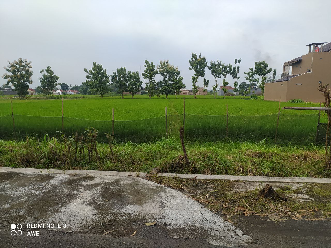 TANAH PERTANIAN - thumbnail 7